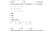 北师大版四年级上册3 平移与平行精练