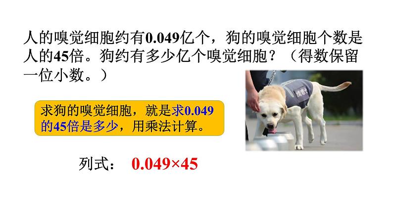 小学数学人教版五年级上册1.8 积的近似数教学课件(2023秋新版)第7页