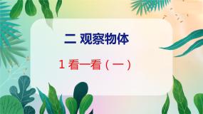 北师大版三年级上册二 观察物体1 看一看（一）教学ppt课件