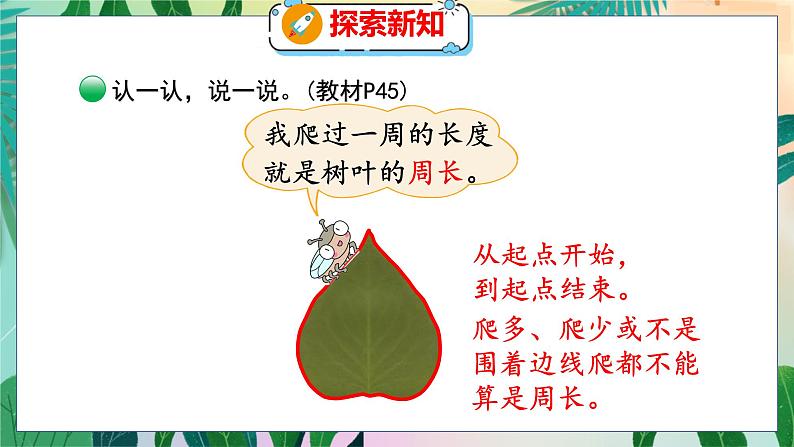 第5单元 1 什么是周长(1) 北师数学3年级上【教学课件】第6页