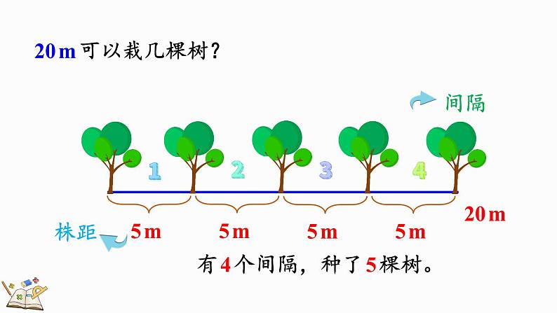 7.1 两端都栽的植树问题-人教版数学五年级上册第8页