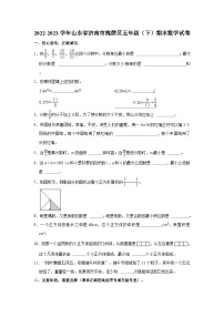 山东省济南市槐荫区2022-2023学年五年级下学期期末数学试卷