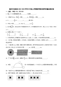 重慶市巫溪縣2022-2023學(xué)年六年級(jí)上學(xué)期數(shù)學(xué)期末教學(xué)質(zhì)量監(jiān)測(cè)試卷
