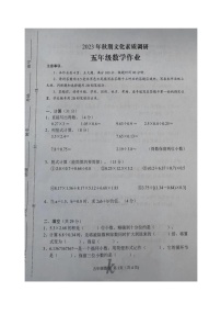 河南省南阳市西峡县2023-2024学年五年级上学期期中数学试题