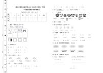 广东省湛江市雷阳实验学校2023-2024学年一年级上学期数学期中学情调研卷2