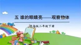 青岛版（六三制）数学二年级下册 五 谁的眼睛亮——观察物体  观察物体课件