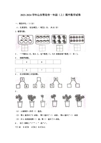 山东青岛市2023-2024学年一年级上学期期中数学试题
