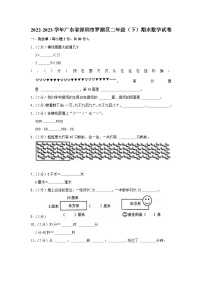 廣東省深圳市羅湖區(qū)2022-2023學(xué)年二年級下學(xué)期期末數(shù)學(xué)試卷