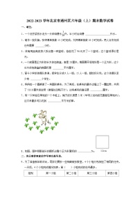 2022-2023学年北京市通州区六年级（上）期末数学试卷