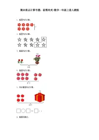 期末重点计算专题：看图列式-数学一年级上册人教版