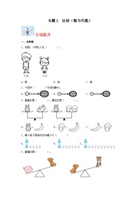 专题2比较（数与代数）-2023-2024学年一年级上册数学寒假专项提升（北师大版）