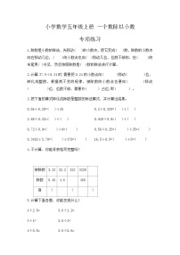小学数学人教版五年级上册一个数除以小数练习题