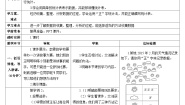 数学二年级下册1 数据收集整理第二课时导学案及答案