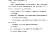 小学数学冀教版六年级上册1.比第1课时教学设计
