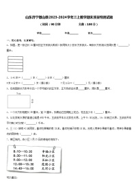 山东济宁微山县2023-2024学年三上数学期末质量检测试题含答案