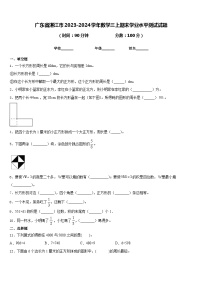 广东省湛江市2023-2024学年数学三上期末学业水平测试试题含答案