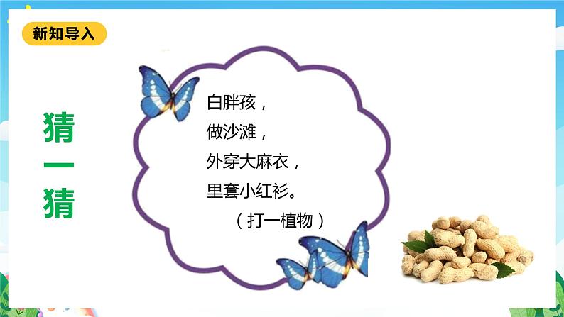【核心素养】北师大数学一年级下册 3.1《数花生》课件+教案+分层练习(含答案)06