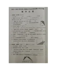 河南省漯河市2023-2024学年五年级上学期期末数学试题