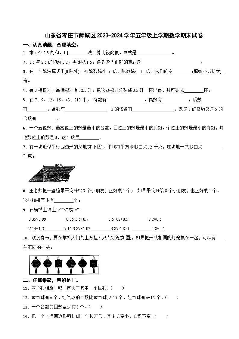 山东省枣庄市薛城区2023-2024学年五年级上学期数学期末试卷01