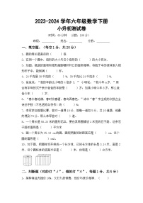 小升初测试卷(试题)-+2023-2024学年六年级数学下册北师大版数学