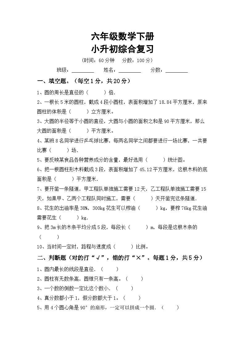 小升初复习(试题)-2023-2024学年六年级下册数学人教版第1页
