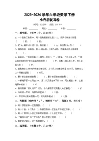 小升初复习题(试题)-+2023-2024学年六年级数学下册北师大版+