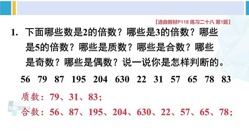 人教版五年级数学下册 9 总复习 第1课时 数与代数(1)(教学课件)07