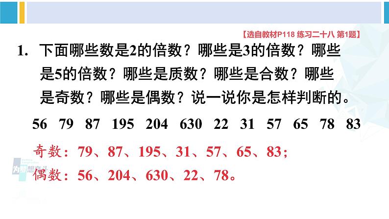 人教版五年级数学下册 9 总复习 第1课时 数与代数(1)(教学课件)08