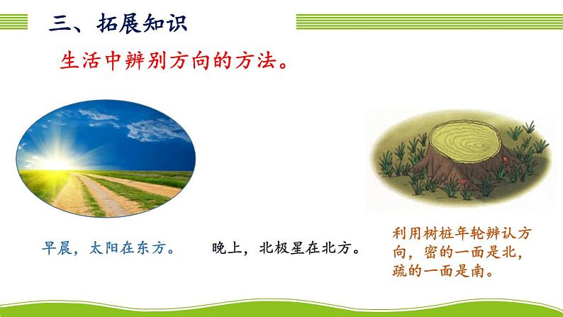 人教版三年级数学下册 1 位置与方向(一) 1.认识东、南、西、北(教学课件)第8页