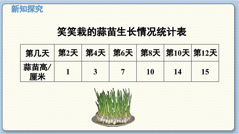 数学北师4(下) 第六单元 第3节 栽蒜苗(二)课件04