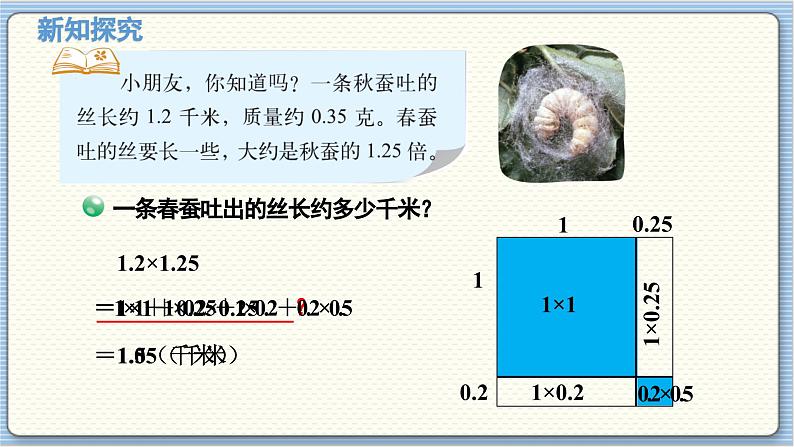 数学北师4(下) 第三单元 第5节 蚕丝课件第5页