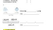 小学数学青岛版 (六三制)五年级上册四 走进动物园——简易方程学案