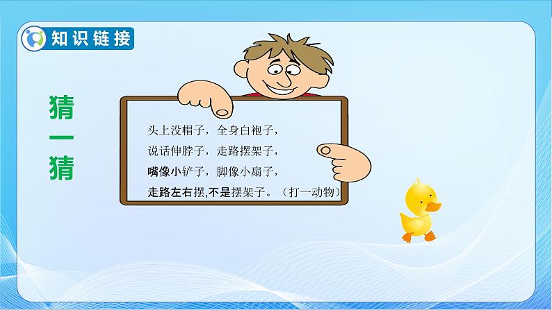 【核心素养】北师大版数学一年级下册-1.3 快乐的小鸭(教学课件)08