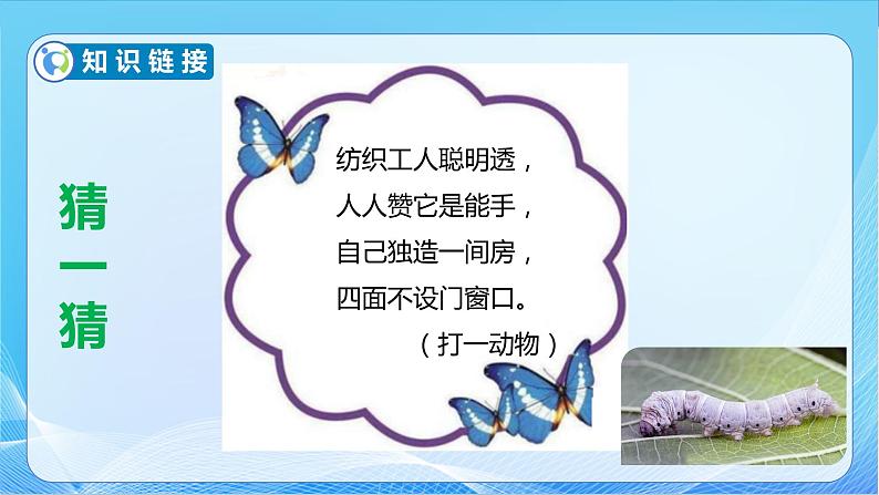 【核心素养】北师大版数学四年级下册-3.5 蚕丝(教学课件)07