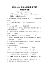 小升初复习题(试题)-+2023-2024学年六年级数学下册北师大版+