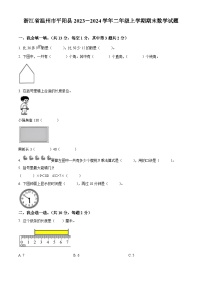 2023-2024学年浙江省温州市平阳县人教版二年级上册期末测试数学试卷（原卷版+解析版）