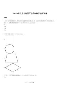 2022年北京市朝阳区小升初数学模拟试卷（含详细解析）