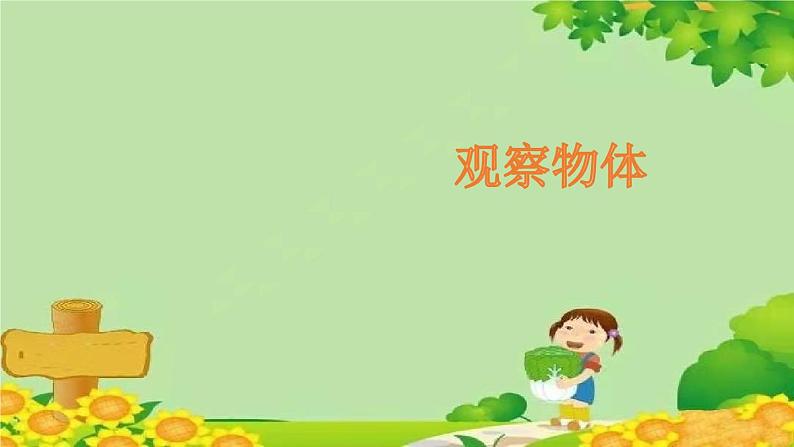 青岛版(五四制)数学二年级上册 七 观察物体课件第1页