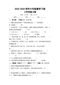 小升初复习(试题)-+-2023-2024学年六年级数学下册北师大版+