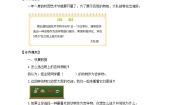 北师大版二年级下册评选吉祥物学案