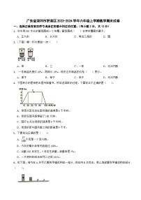 广东省深圳市罗湖区2023-2024学年六年级上学期数学期末试卷