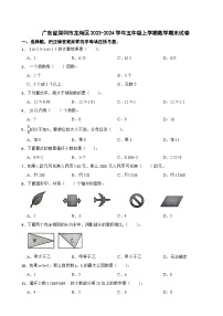 广东省深圳市龙岗区2023-2024学年五年级上学期数学期末试卷
