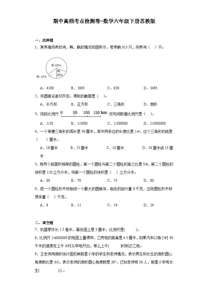 期中高频考点检测卷-数学六年级下册苏教版第1页