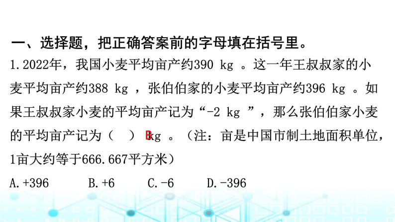 北京市朝阳区小学六年级毕业考试指导卷课件01