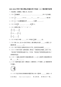 113,宁夏回族自治区石嘴山市惠农区2023-2024学年六年级上学期期末数学试卷
