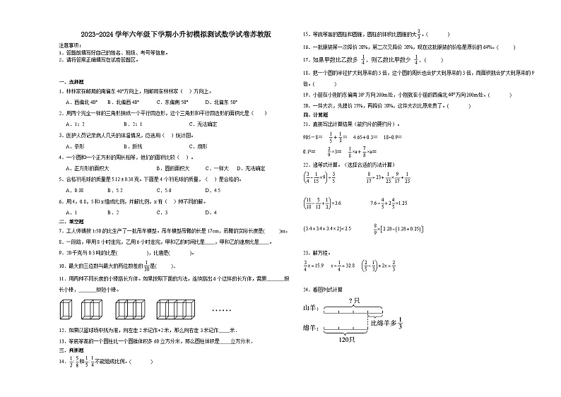 小升初模拟测试押题卷(试题)2023-2024学年六年级下册数学苏教版第1页