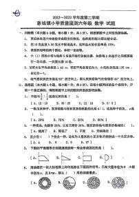 广东省揭阳市惠城镇小学2022-2023学年六年级下学期期末检测数学试题