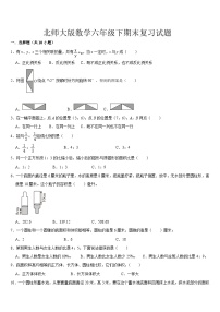 期末复习试题(试题)-2023-2024学年六年级下册数学北师大版
