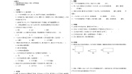 小学长方形的面积综合训练题