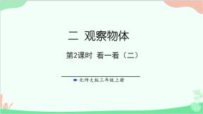 小学数学北师大版三年级上册二 观察物体2 看一看（二）备课ppt课件